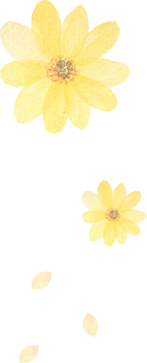 ファイナンシャルプランナー 江川聡美,ご相談の流れ・費用