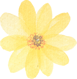 ファイナンシャルプランナー 江川聡美,ご相談の流れ・費用