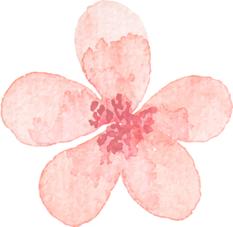 ファイナンシャルプランナー 江川聡美,セミナー情報